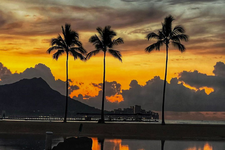 Bluehawaiiphototours Oahu Sunrise Photo Tour Sunrise With Palm Tree 