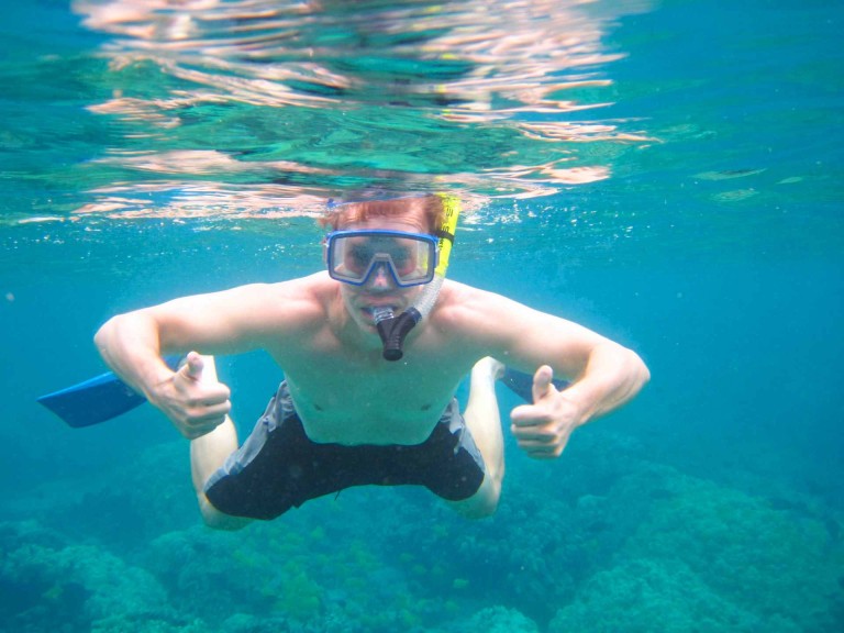 dolphin discoveries premium kona snorkel adventure snorkeller