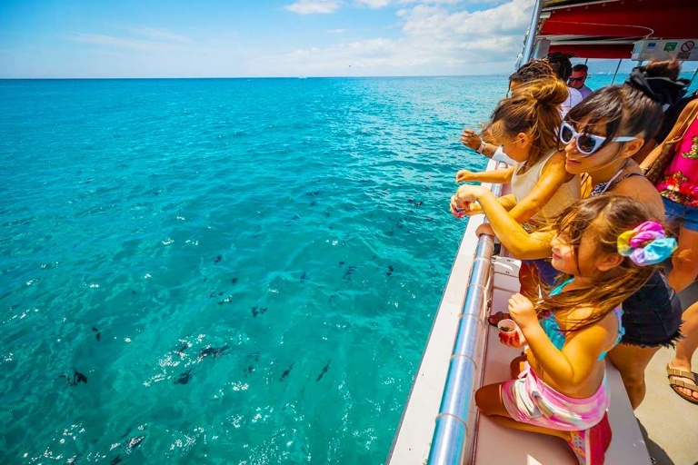 hawaii glass bottom boats enjoy the beautiful ocean on boat