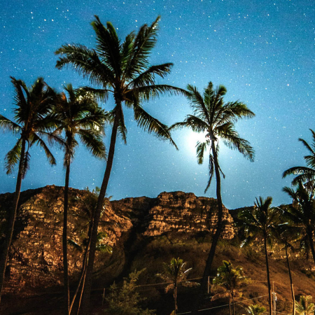 Honolulu Night Sky And Light Painting Oahu Photography Tours Pic Product