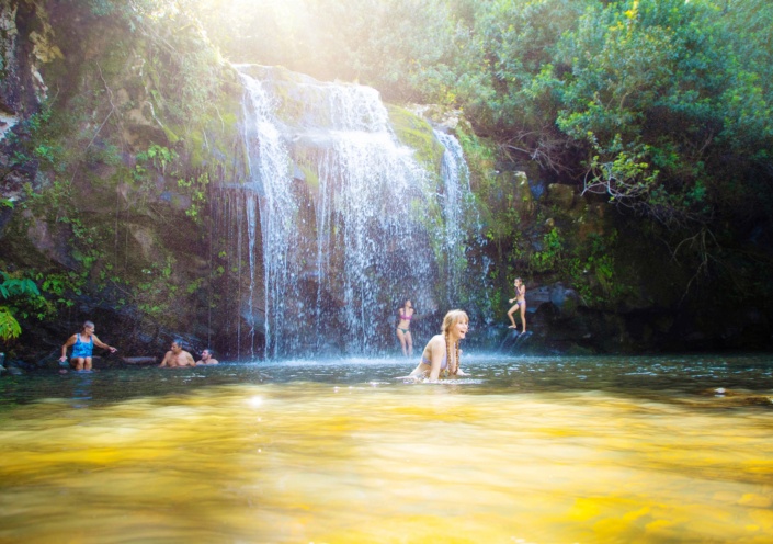 Kohala Zip and Dip Tour | Hawaii Tours and Activities