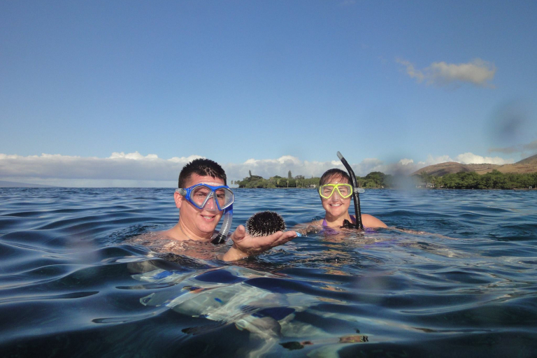 Mauiadventuretours Olowalu Kay Turtle Reef Snorkel Family Snorkel