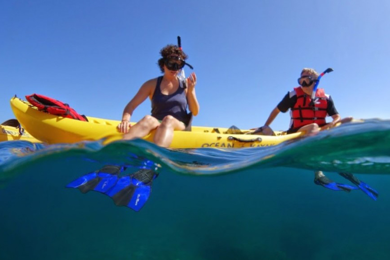 Mauiadventuretours Olowalu Kay Turtle Reef Snorkel Guides