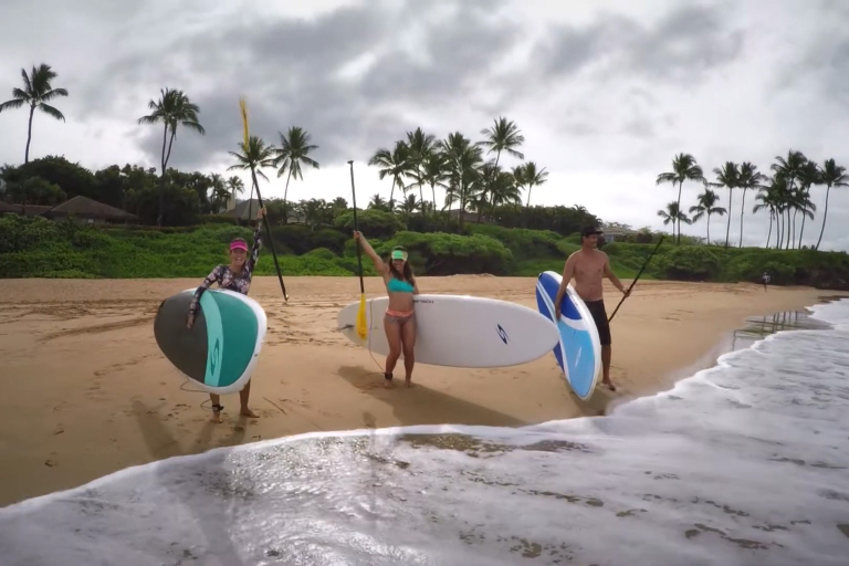 Mauiecotours Kalama Park Surfing Lessons Popular Water Sport