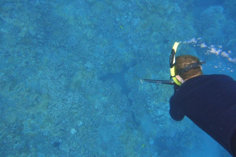 Mauispearfishing Maui Spearfishing Learn Sport Deep Water
