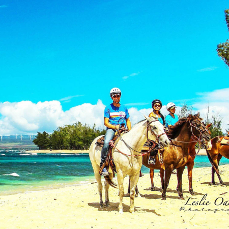 North Shore Sunshine Horseback Ride Oahu Horseback Rides Product