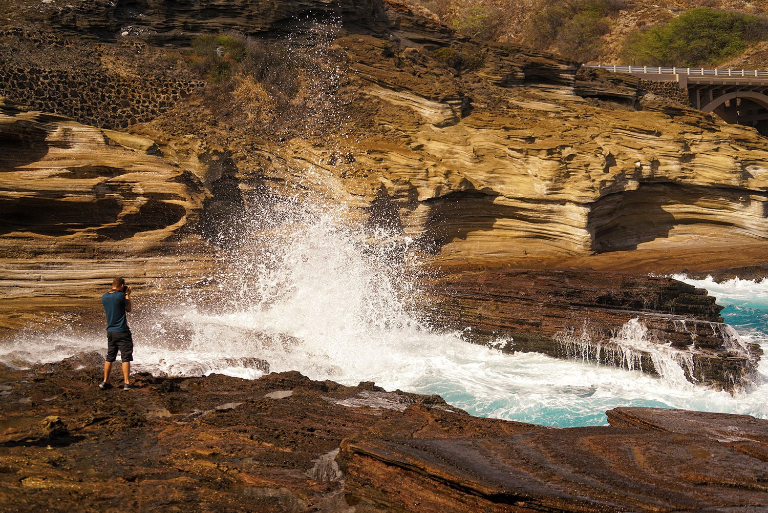 sunset tour oahu