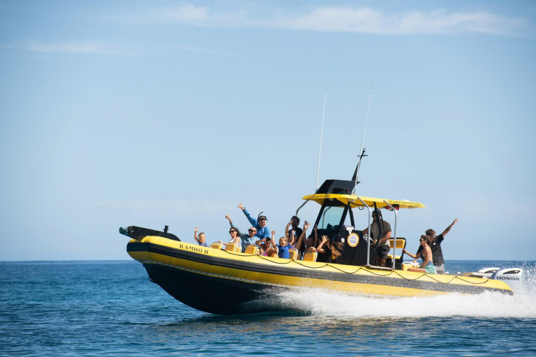 Oceanoutfittershawaii North Shore Marine Life Tour Private Board Speeding