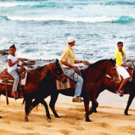 Private North Shore Horseback Ride Oahu Horseback Rides Product