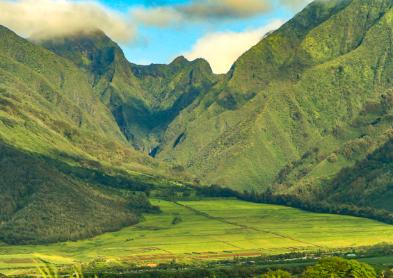 West Maui Mountains At Iao Valley
