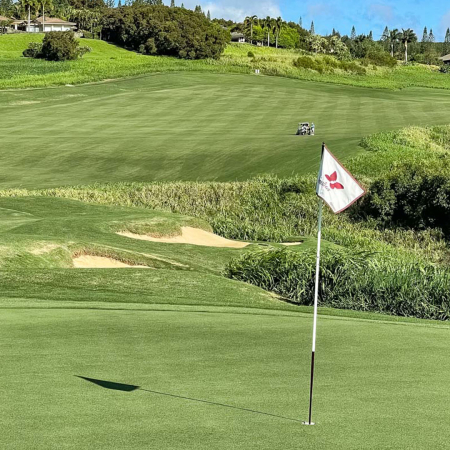 Kapalua Plantation Course Th Green And Flag EX Maui Golf Product