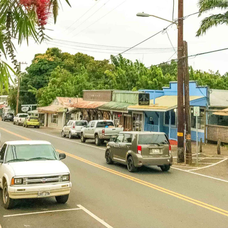 Makawao Town View And Ohia Tree Maui Product