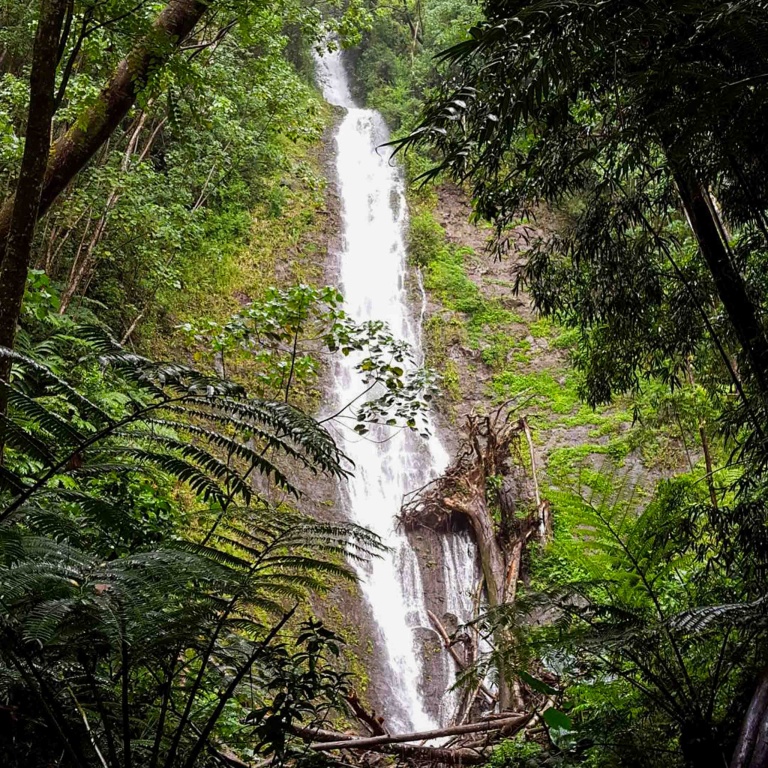 Bikehawaiitours Hawaiian Waterfall Hike Tour Beautiful Picture Of Waterfall