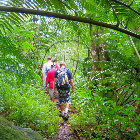 Groups In The Deep Of The Jungle Hawaiian Waterfall Hike Product