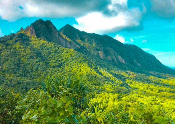 Jungle Expedition Visit Famous Movie Sites Kualoa Ranch Oahu Slider