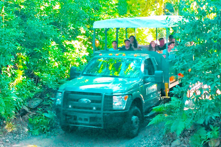 Jurassic Jungle Jeep Expedition At Kualoa Ranch Oahu Product Images