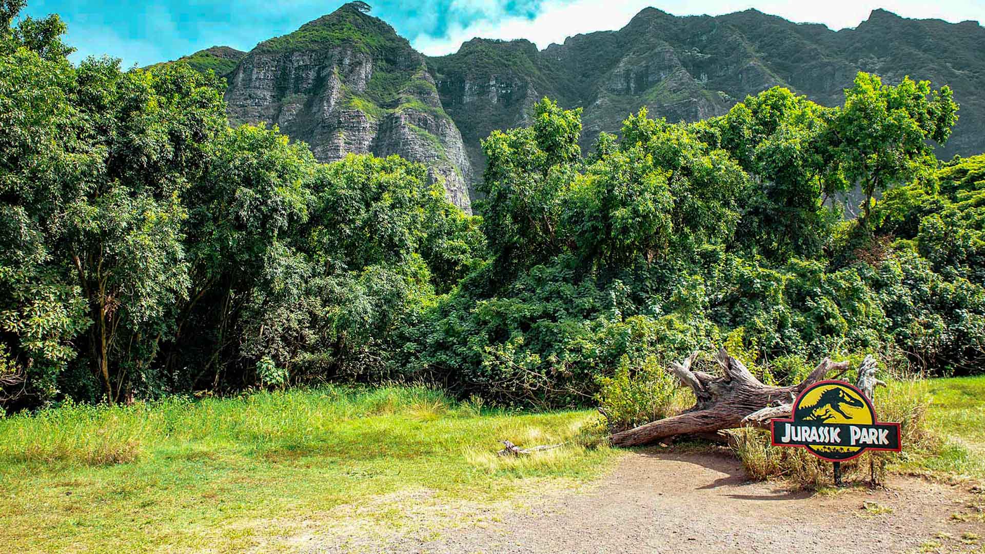 Jungle Expedition | Best Oahu Jungle Tours & Activities