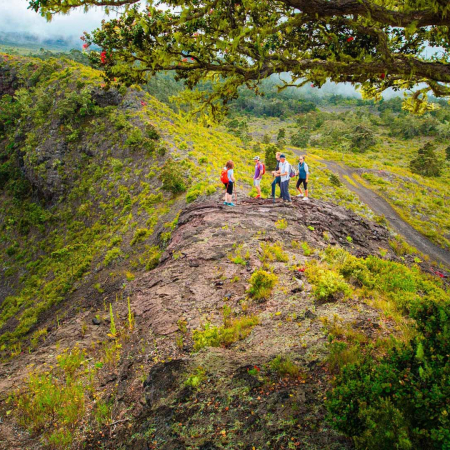 Explore The Hualalai Volcano Hidden Craters Hike Tour Product