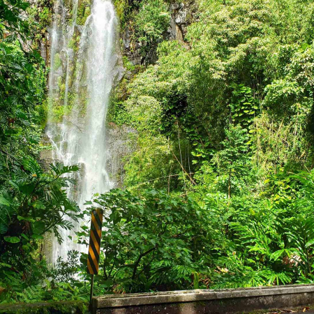 Hawaiianstyle Luxury Road To Hana Exclusive Waterfall Hike Product