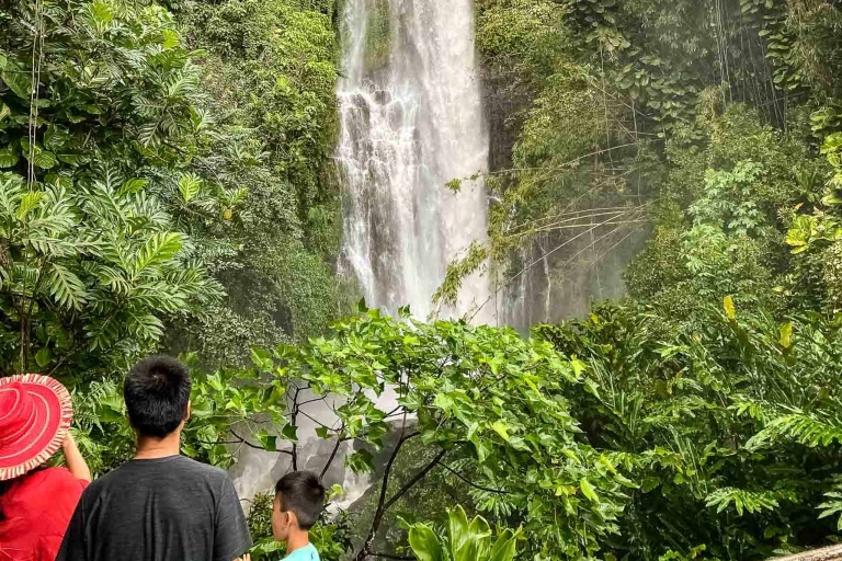 Wailua Falls Road To Hana Maui