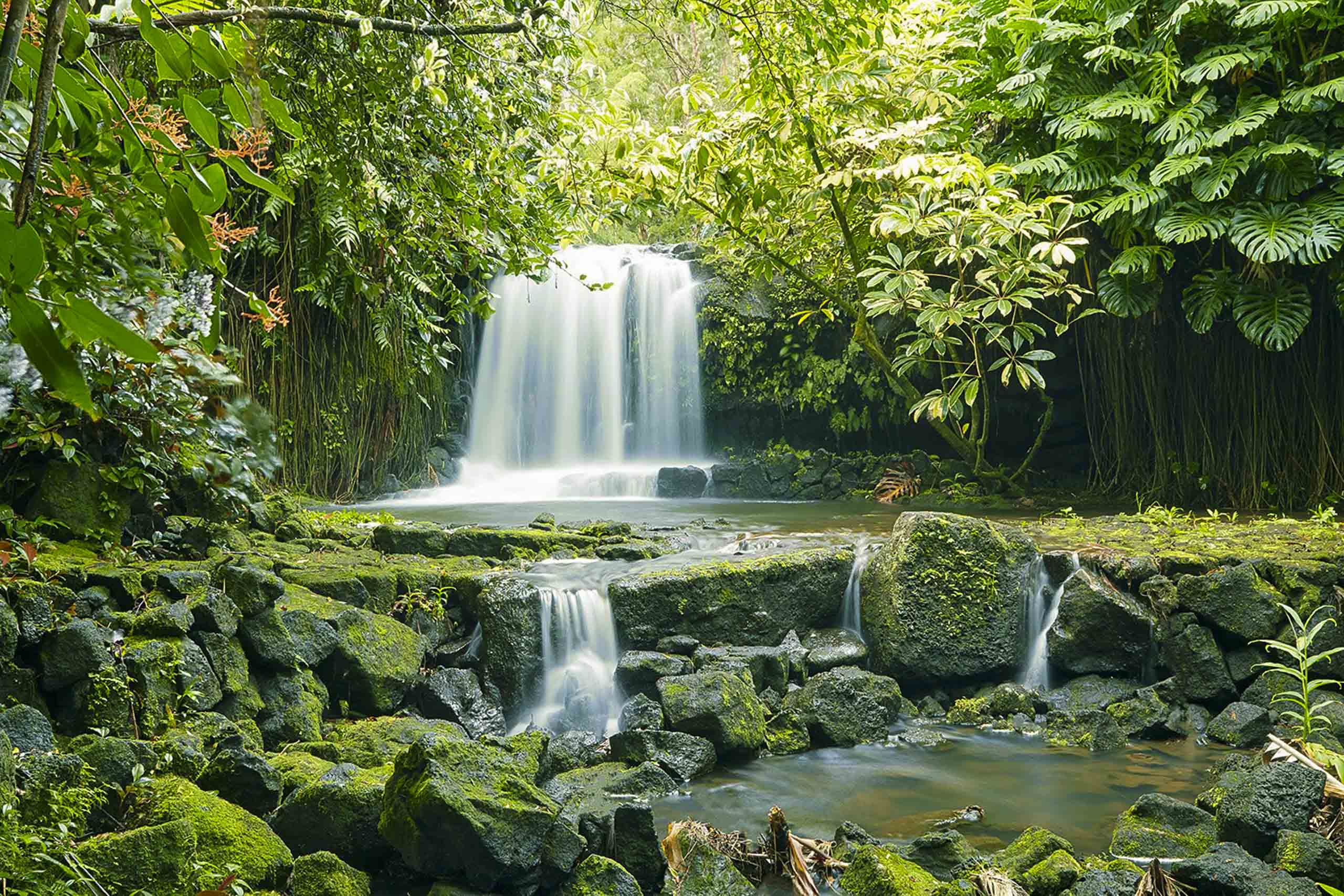 Big Island Nature & Wildlife Tours | Hawaii Tours and Activities