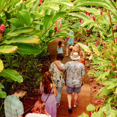 Wailua River Fern Grotto Trail Kauai Product