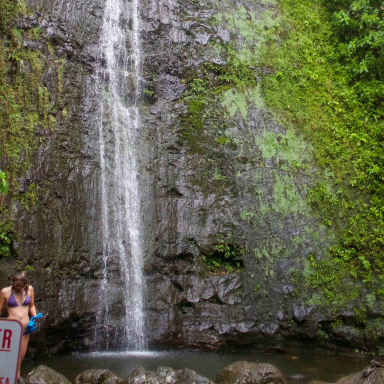 Kaimanatours Rainforest Waterfall And Movie Waterfall