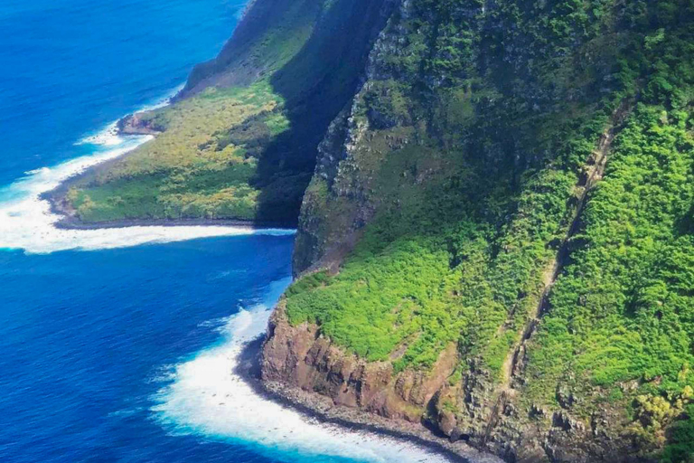 Explore Molokais Sea Cliff By Sunshine Helicopters 