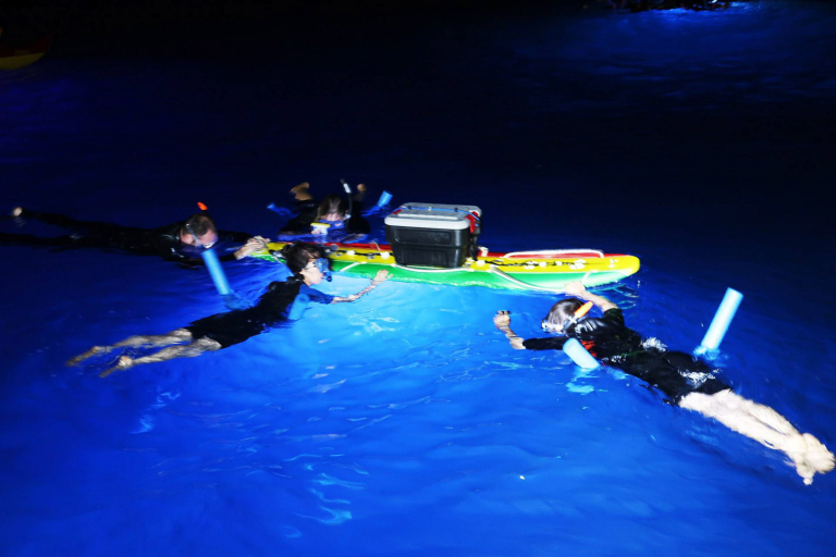 Hawaii Islandand Ocean Tours Manta Ray Night Snorkel Pic 