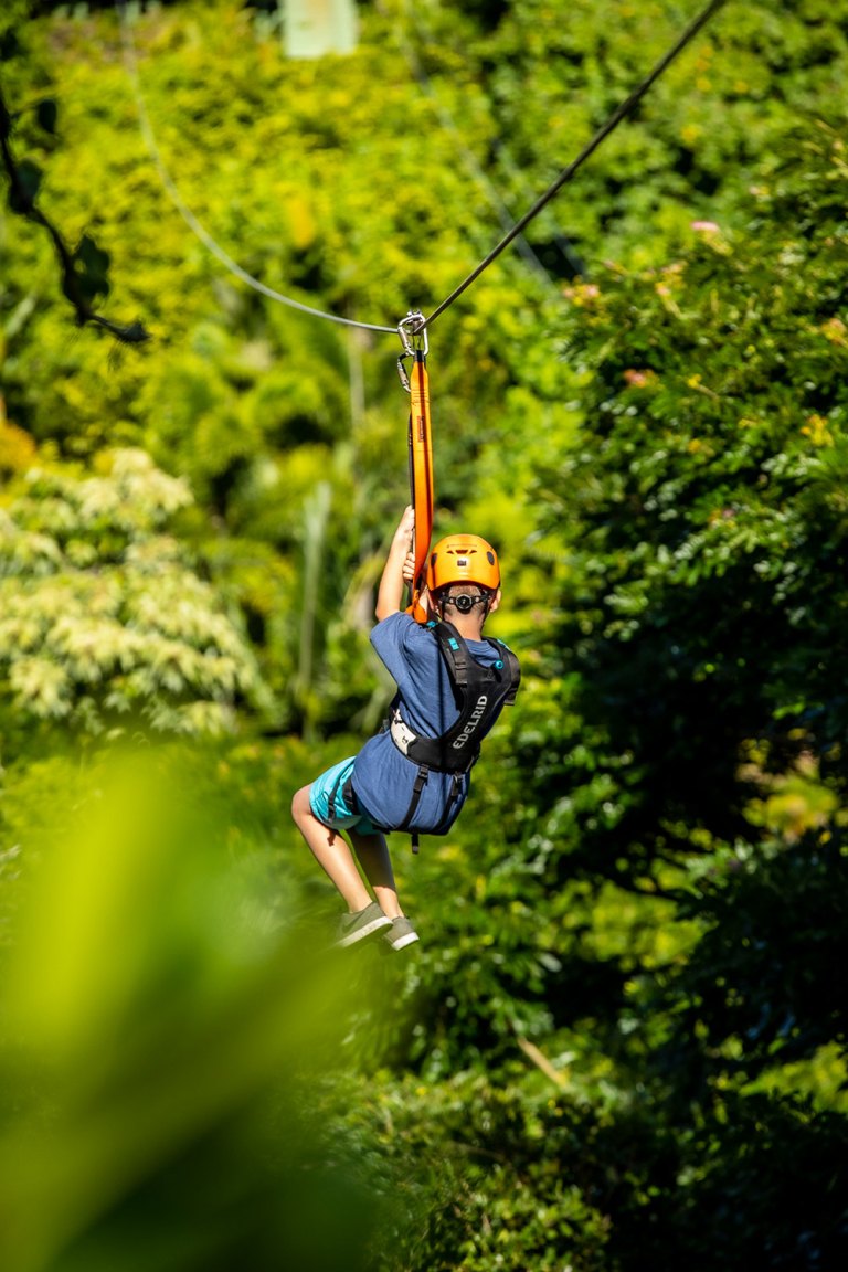 kid fly through the jungle on multiple ziplines jungle zipline maui michaelhannigIphotography