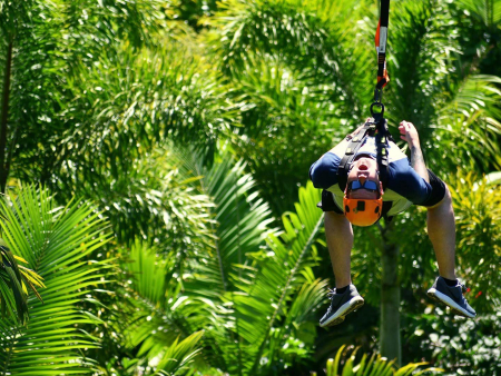 See Hundreds Of Tropical Plants On The Wonderful Eco Tour Jungle Zipline Maui Product
