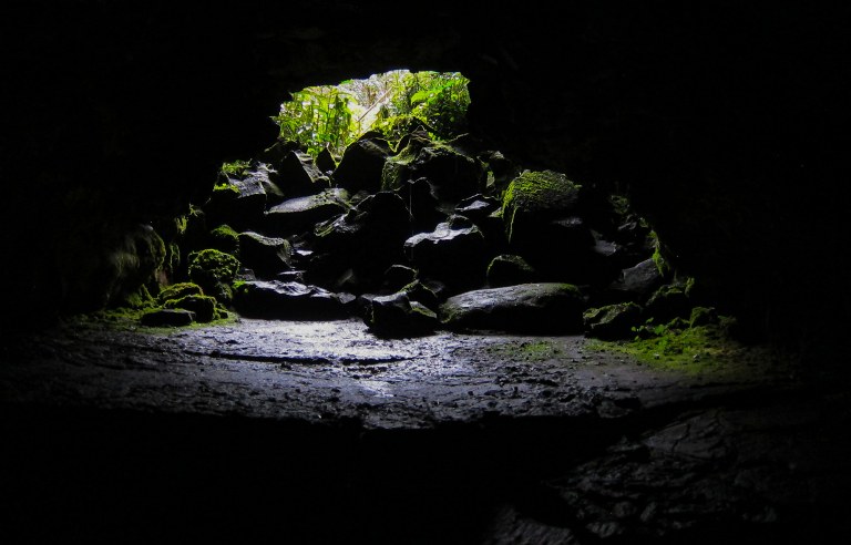 view from inside kaumana cave a lava tube created by a  lava flow hilo hawaii