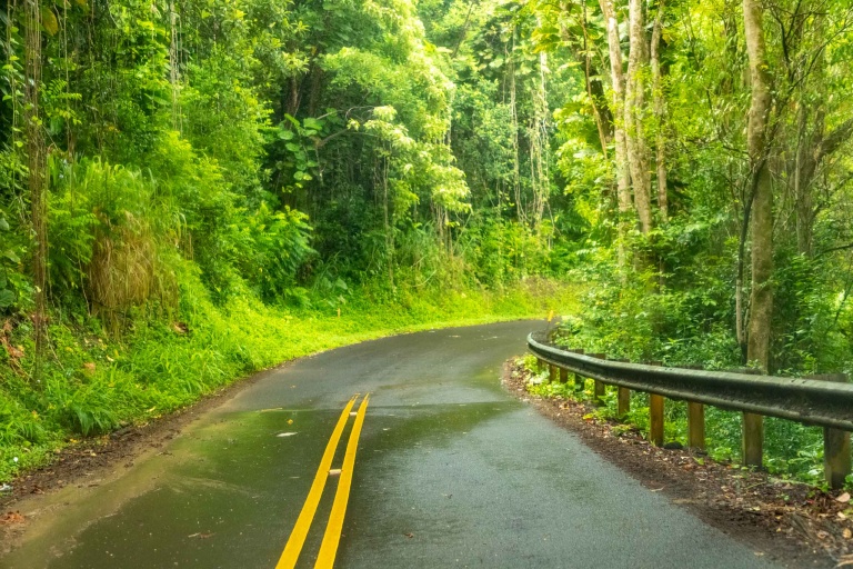 Haiku Road and Jungle Maui