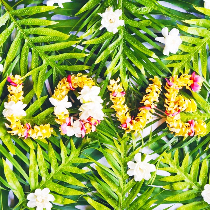 aloha love spreading mauis finest luau