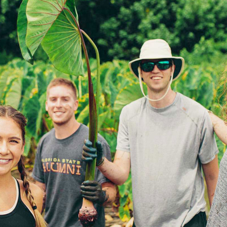 Get The Full Hands On Experience Of Nurturing And Learning About Hawaiian Land Kualoa Ranch