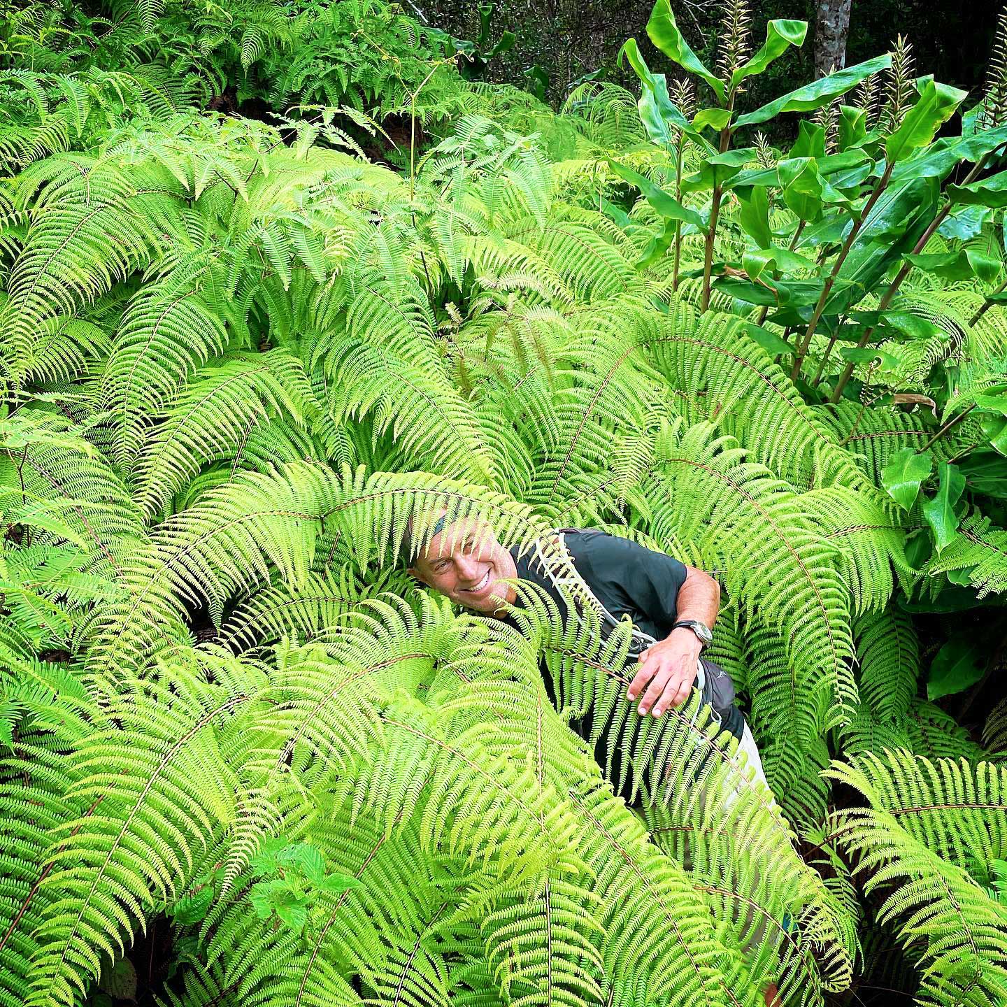 Kuilau Ridge Trail to Mt. Waialeale Viewpoint - Top Private Hike 