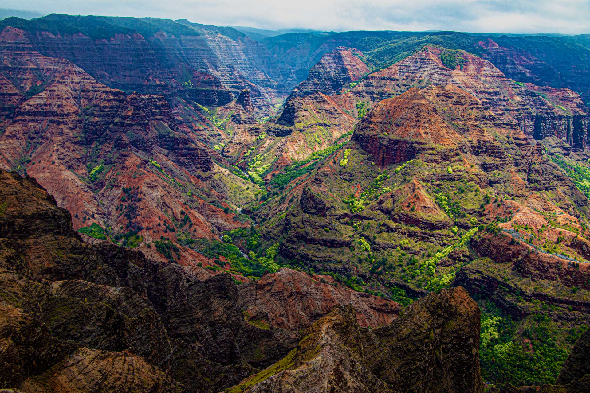 Waimea Canyon & Napali Cliff Top Hike | Kauaʻi Cliff Hike & Views