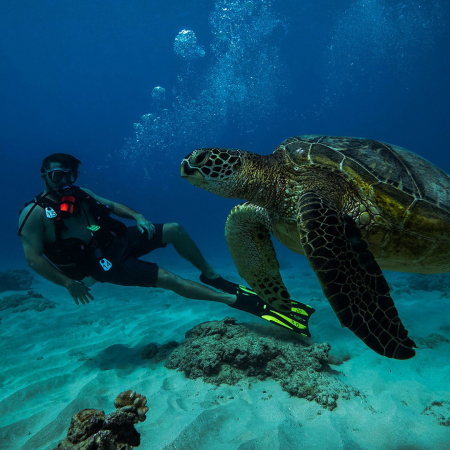 Explore The Underwater World In A Completely New Way Introductory Diving Dive Oahu