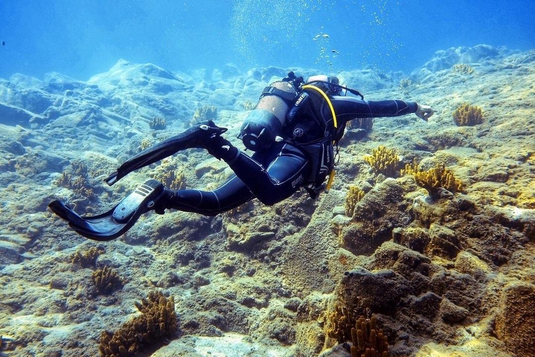 Introductory Diving  Best Ocean Activities on Oahu