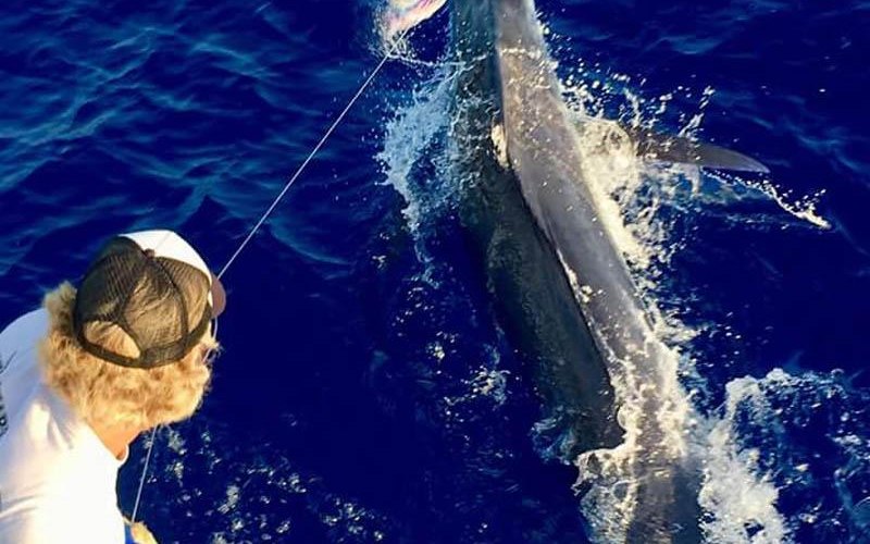 Four Hour Kona Fishing Charter | Fishing Tours on Big Island