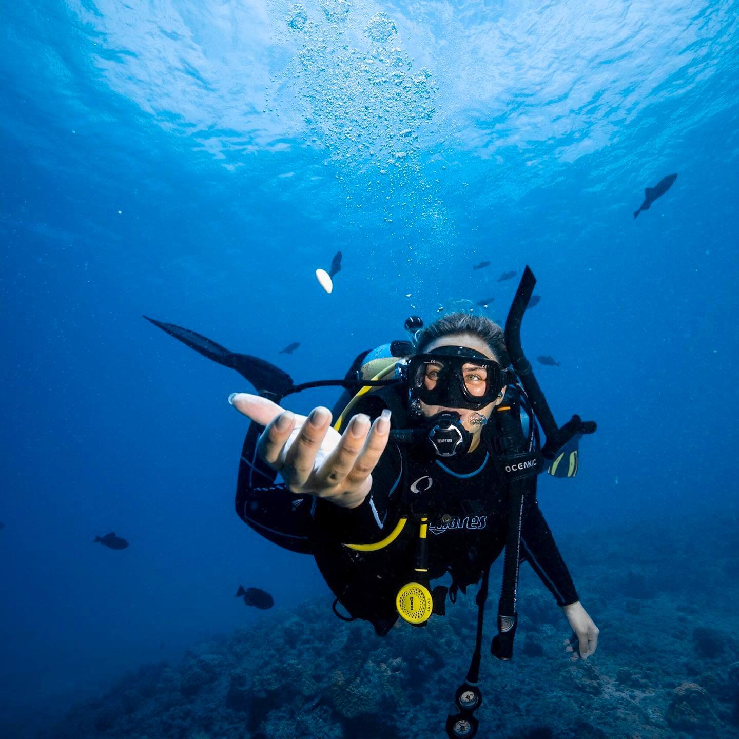 Coral Reef Dives | Best Oahu Ocean Activities & Tours