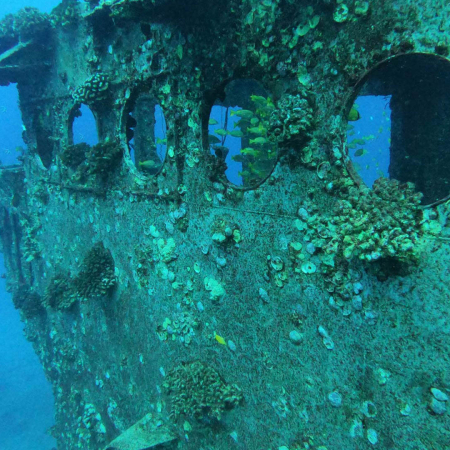 The Wreck And Reef Scuba Tour Oahu Island Dive Oahu Wreck And Reef Tour