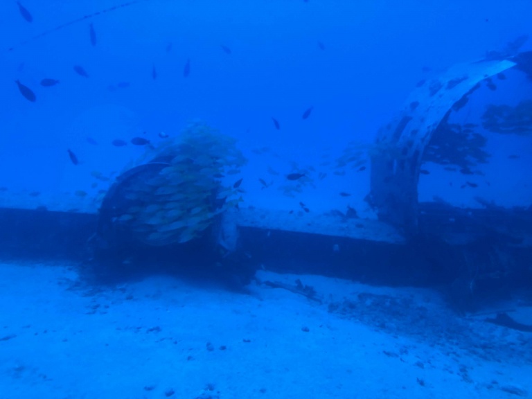 Atlantis reef marine life Oahu Submarine Waikiki
