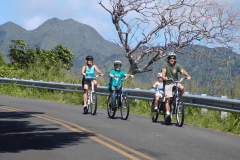 Oahu Combo Activities Family Biking