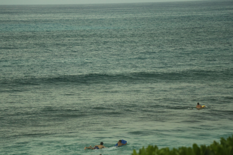Oahu Morning Swim