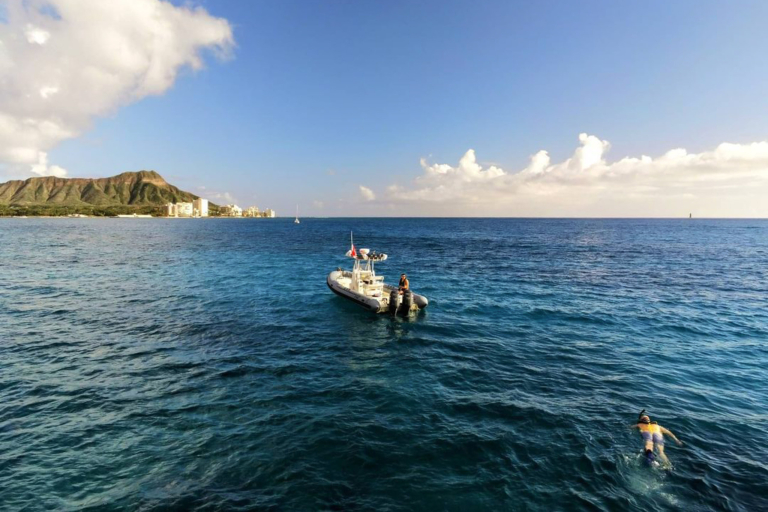 Theadventureboat Private Waikiki Small Boat Whale Watch 