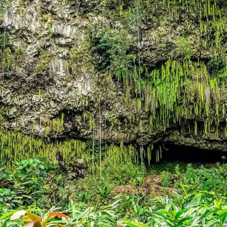 Fern Grotto Waimea River Kauai