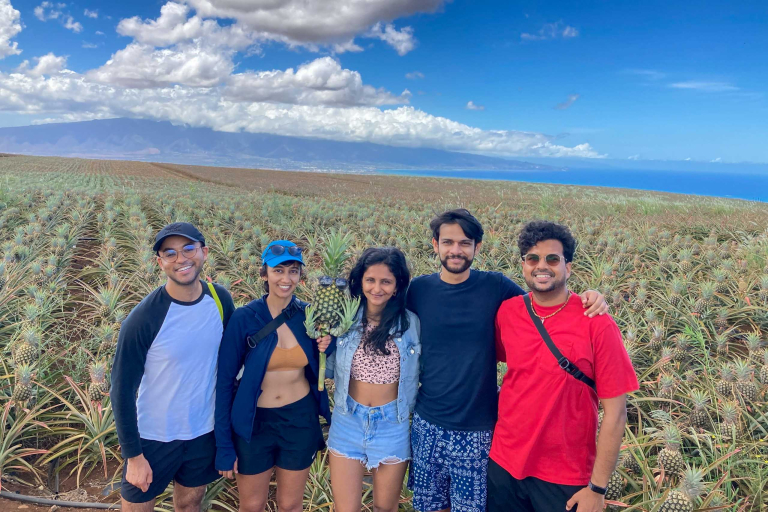 Mauipineappletour Maui Pineapple Tour Family