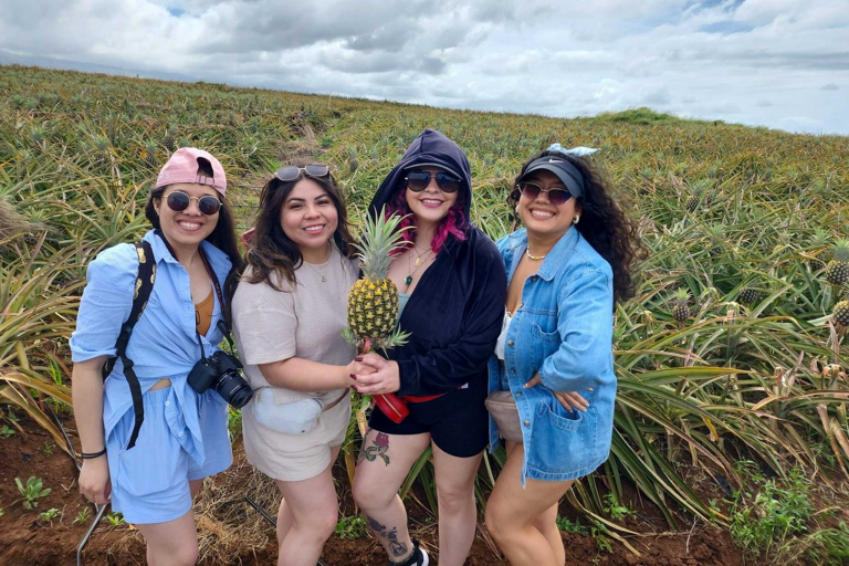Mauipineappletour Maui Pineapple Tour Group Of Women