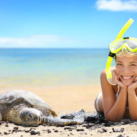 Best Snorkeling And Hawaiian Sea Turtles On Big Island Hawaii Product